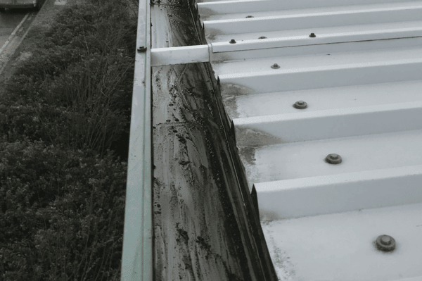 Commercial gutter cleaning specialists in Blackwater